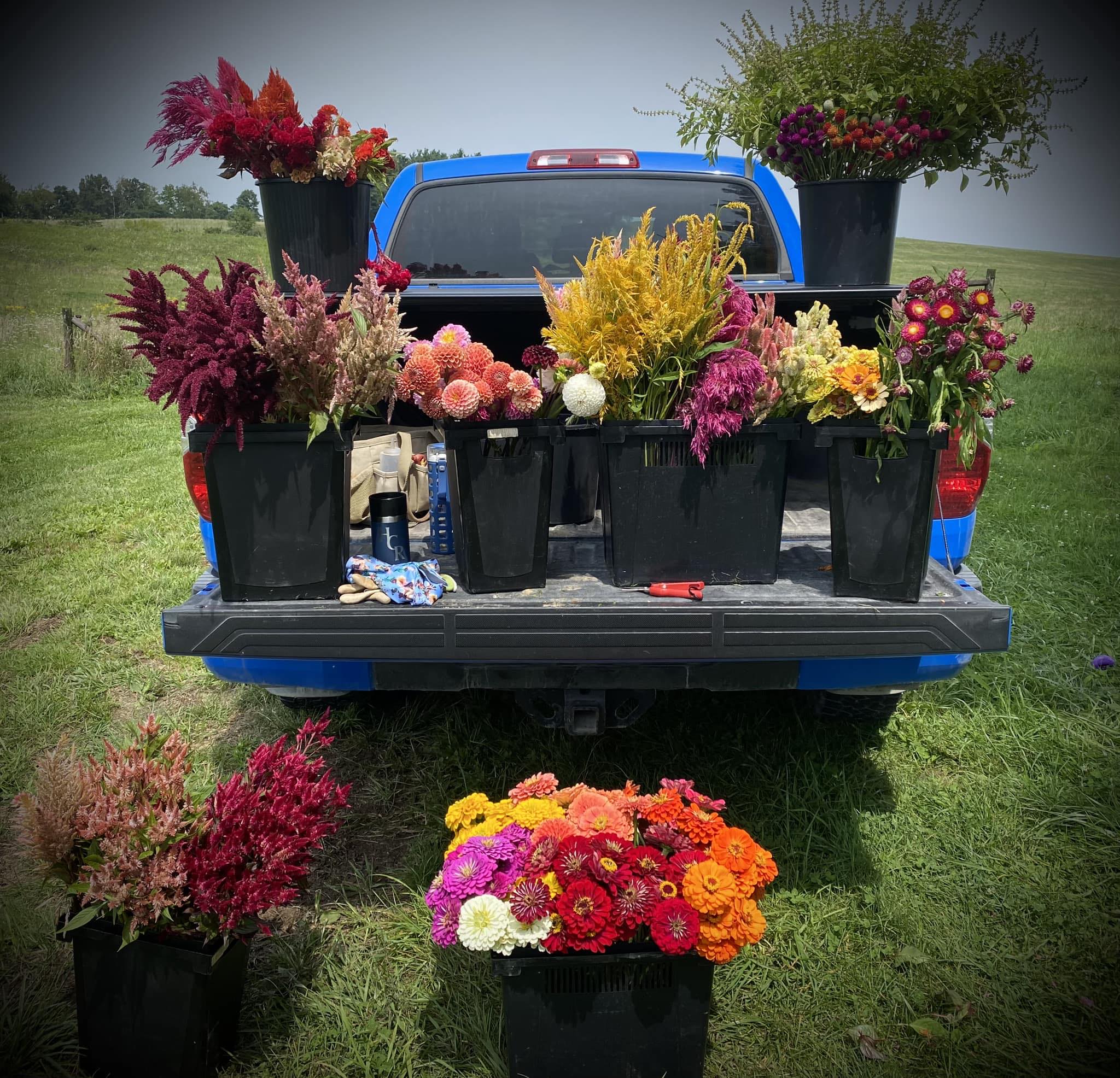 The Flower Ranch added a new photo. - The Flower Ranch