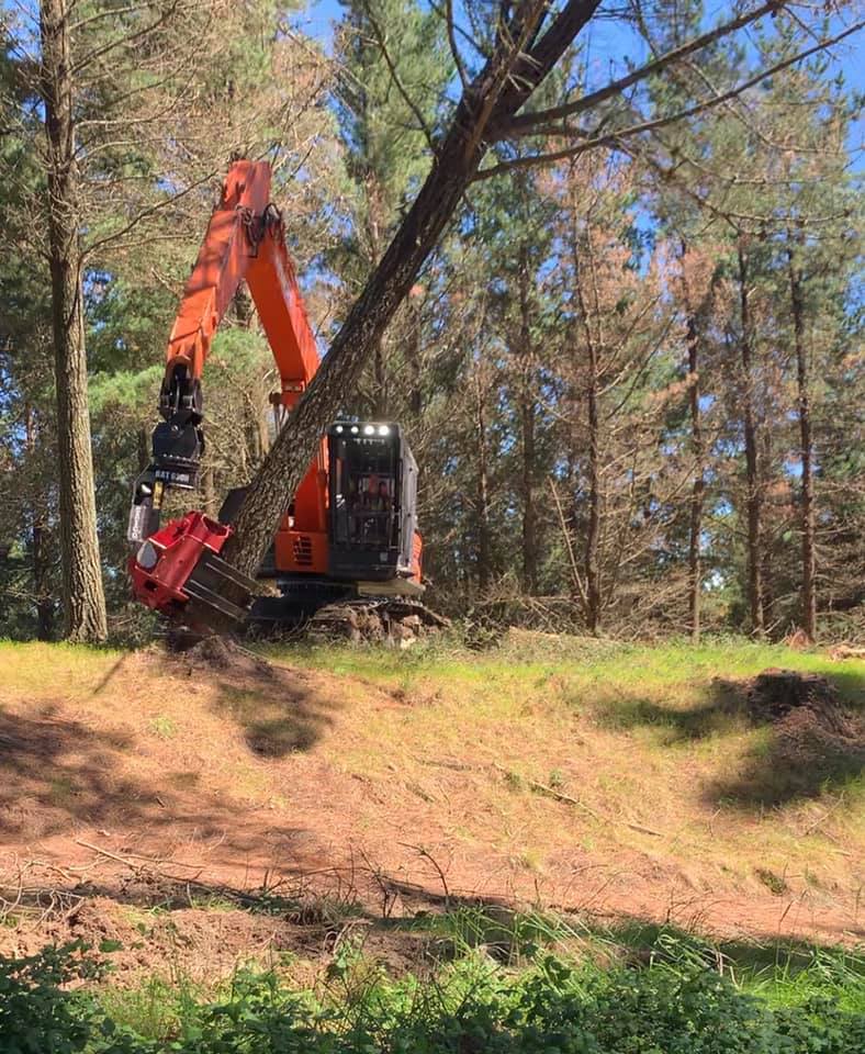Corey trying out the new satco... - K & S Beard Logging Ltd | Facebook