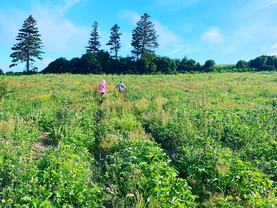 Hidden Ridge Acres