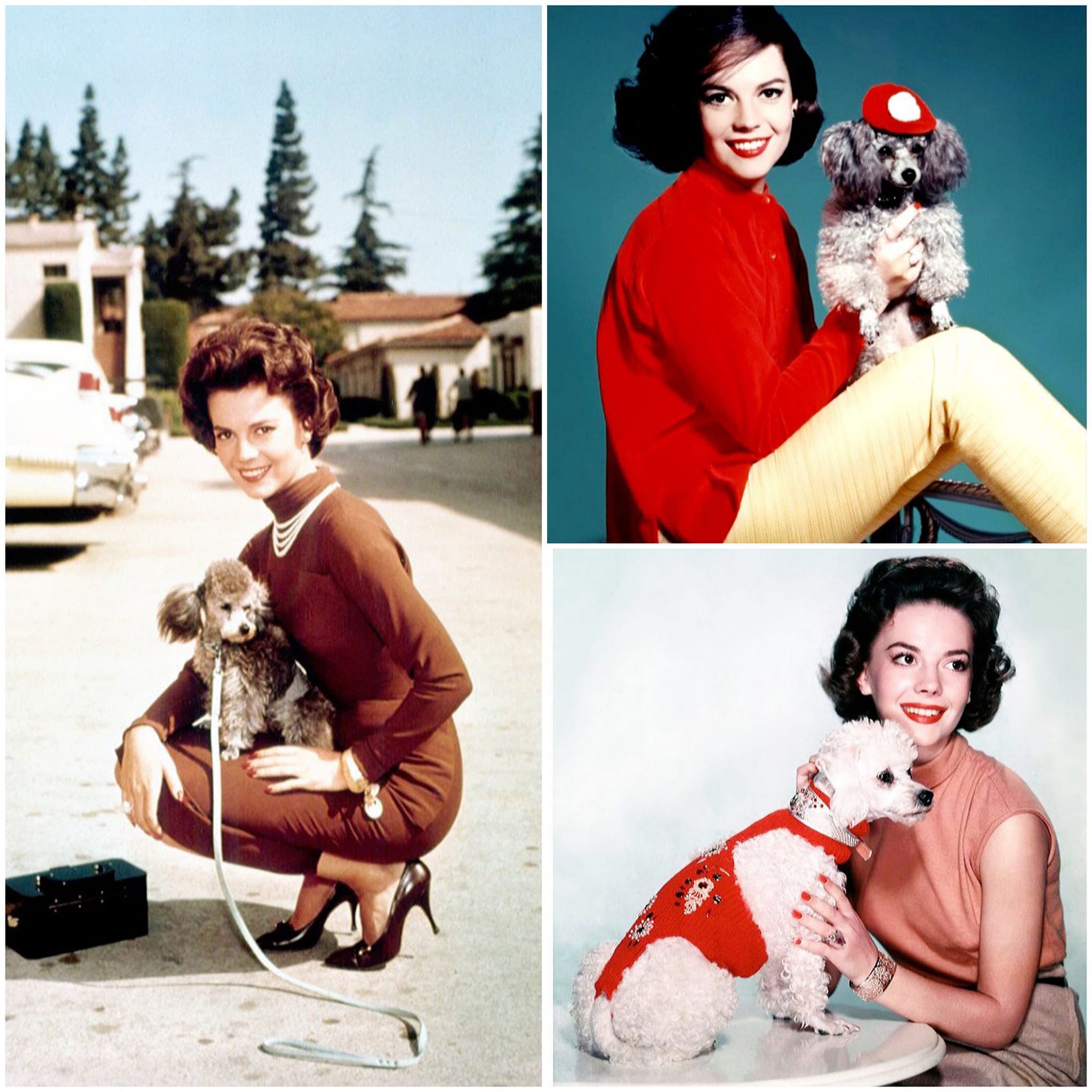 Natalie Wood with her dogs in the late 1950s