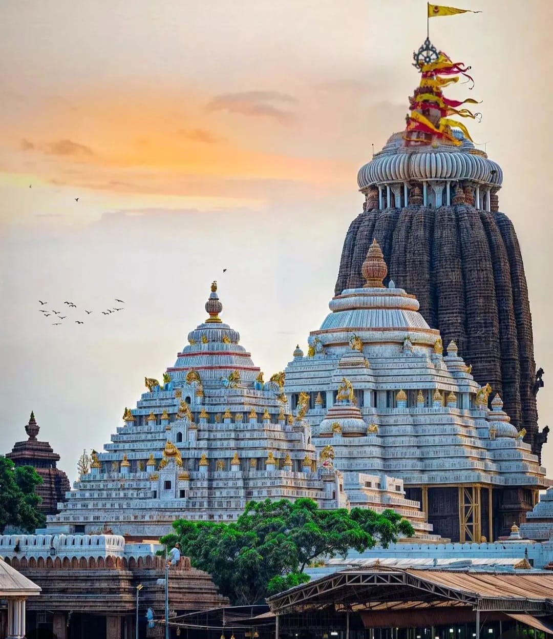 Rasmita Badajena