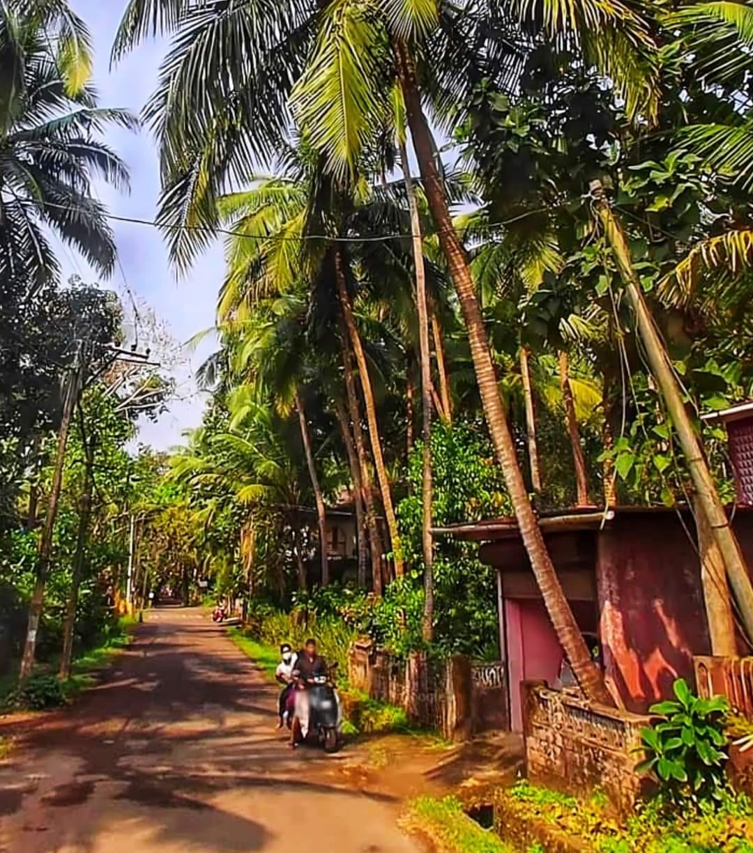 INDIA Travel Tourism🇮🇳 | Collem - Goa | Facebook
