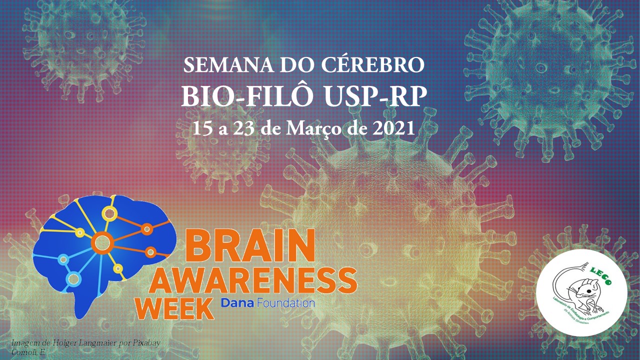 Semana do Cérebro da BIO - Filô - USP RP | Ribeirão Prêto SP