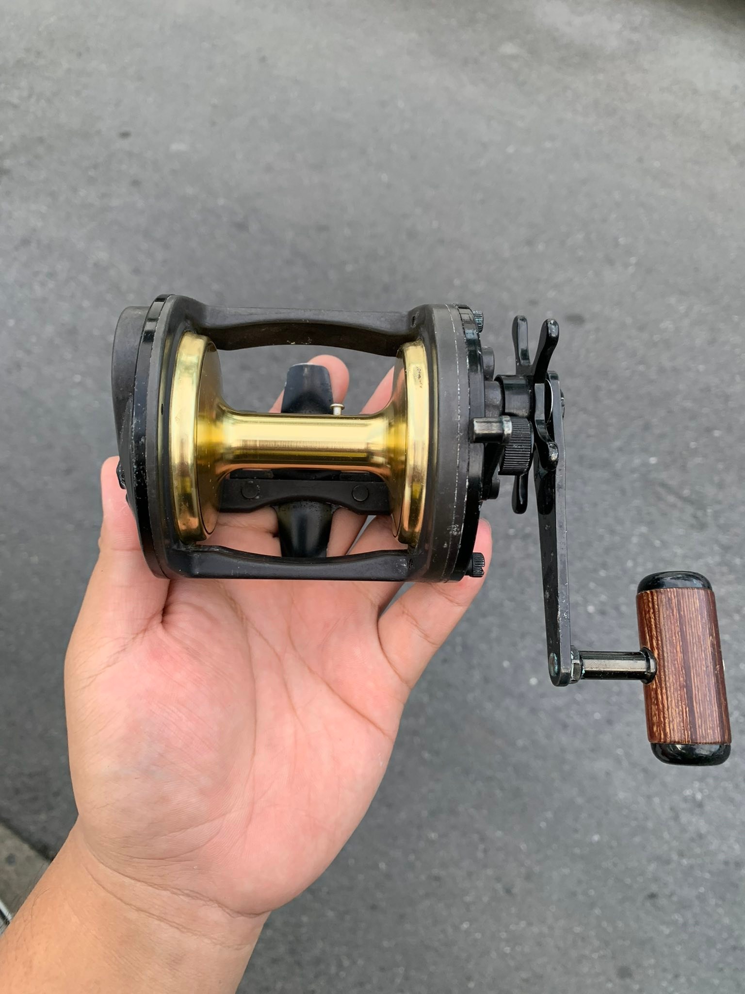 Daiwa sealine magservo ss-50