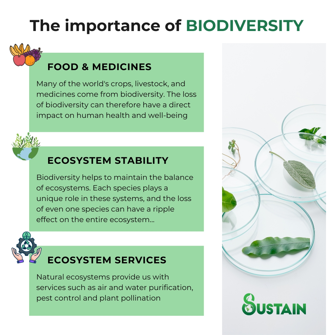 🌎 The Significance of Biodiversity: Ecosystem Stability's Unsung Hero ...