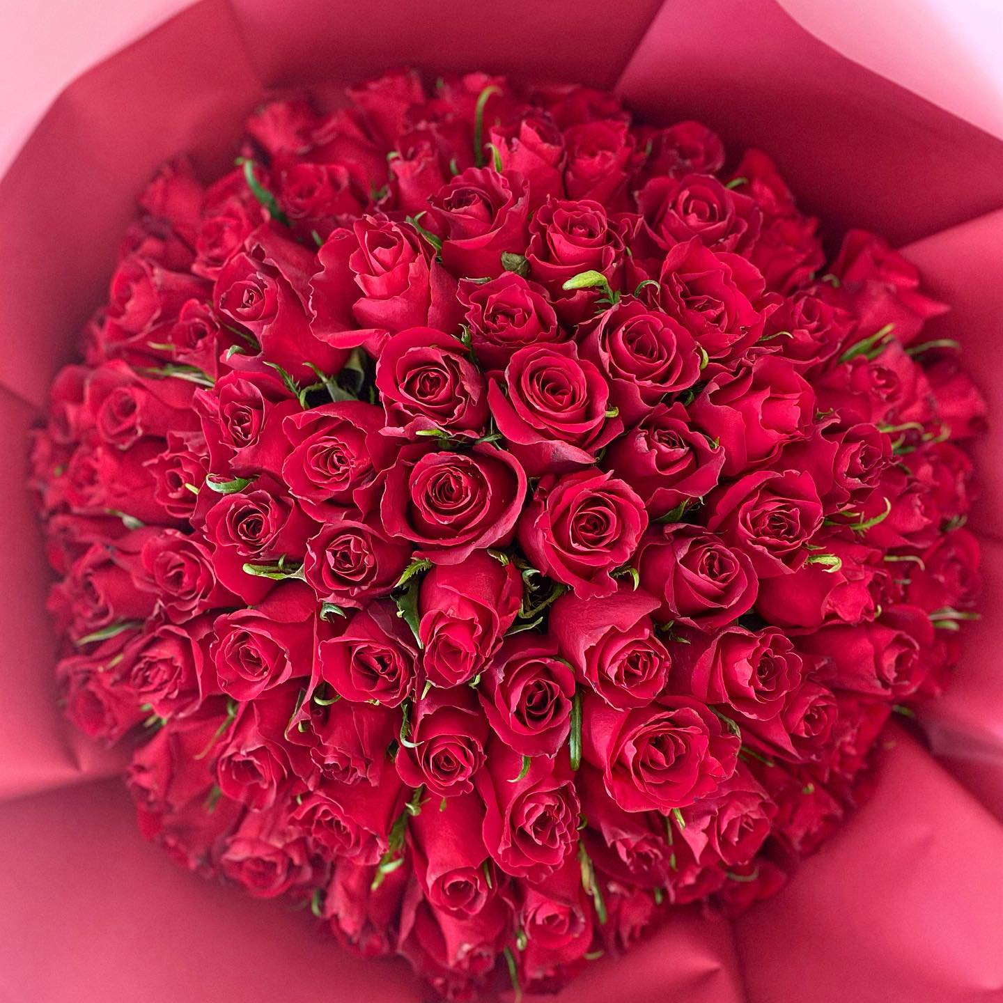 One hundred roses 🌹 for... - OG_handmade Gifts/Цветы Дубай