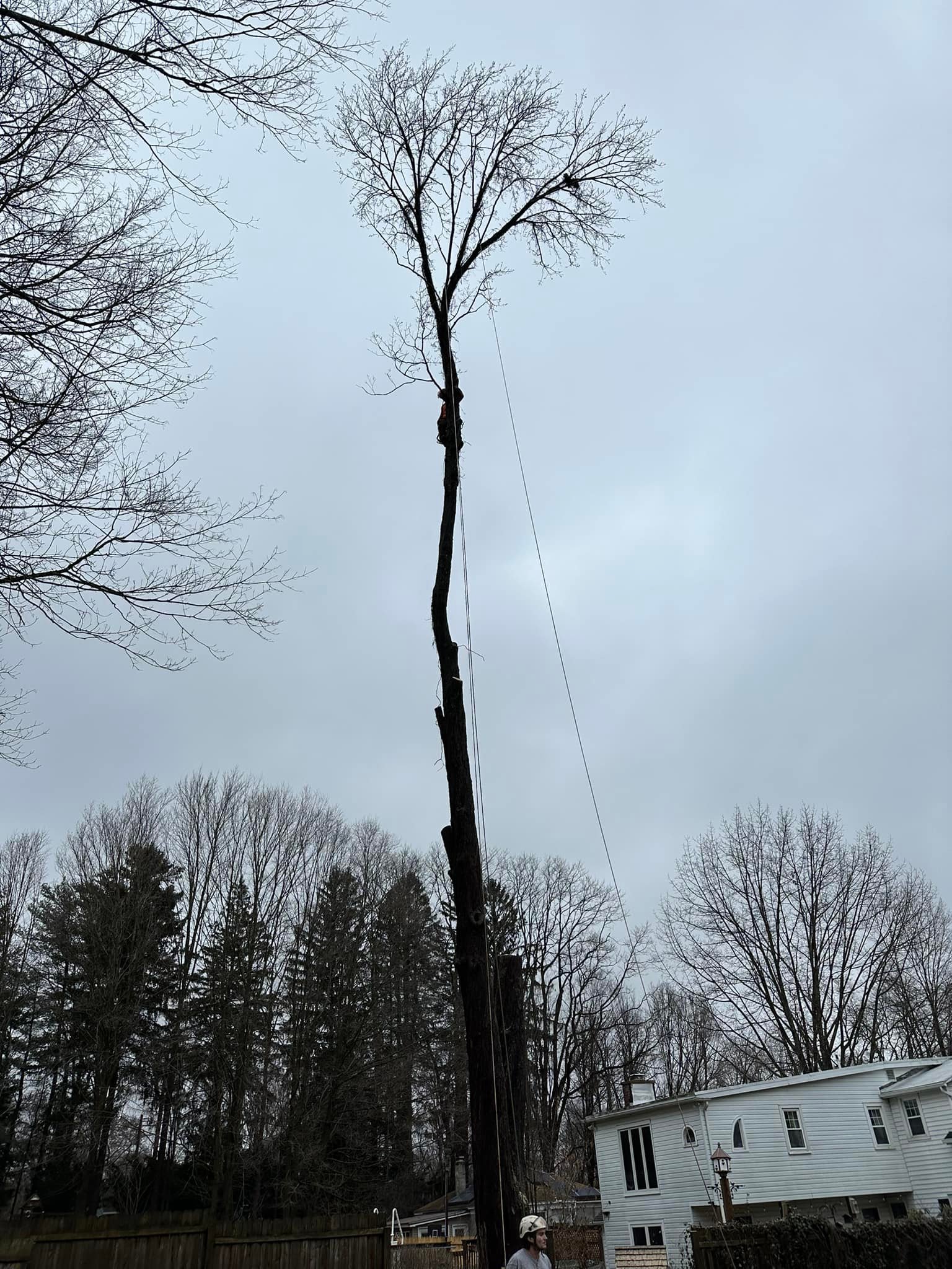 Ballston Tree & Property Services | Ballston Spa NY