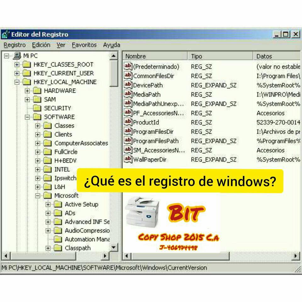 Se trata de una base de datos... - Bit Copy Shop 2015, C.A | Facebook