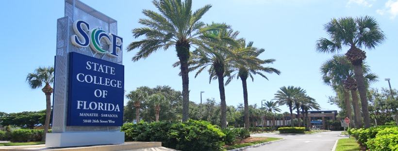 USF Student Life added a new photo. - USF Student Life