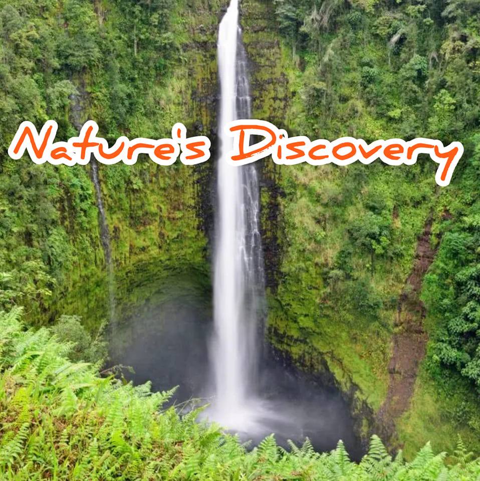 A peaceful drive on a beautiful mountain road surrounded by lush green ...