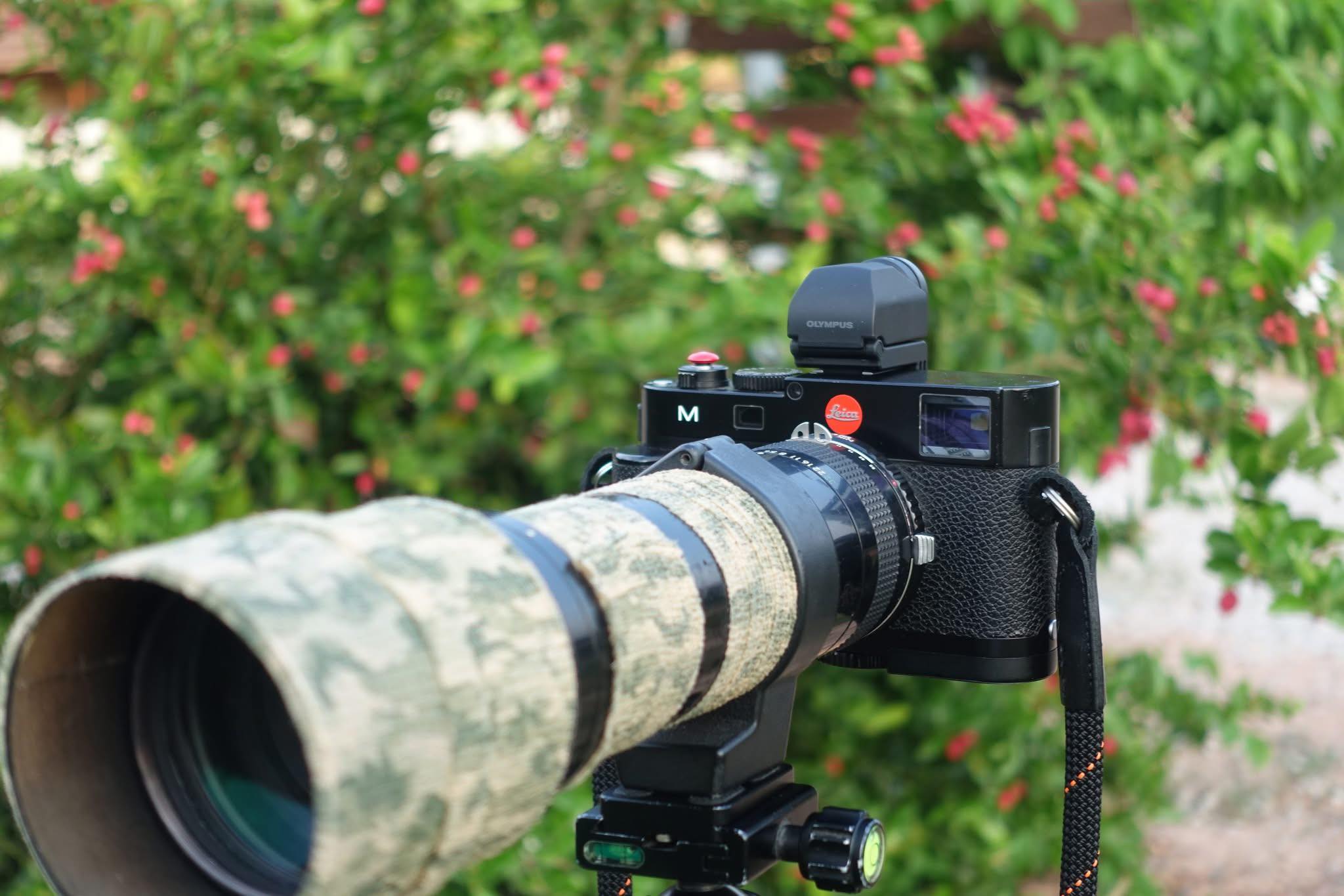 Nikkor 100-400mm with 2x TC image quality?