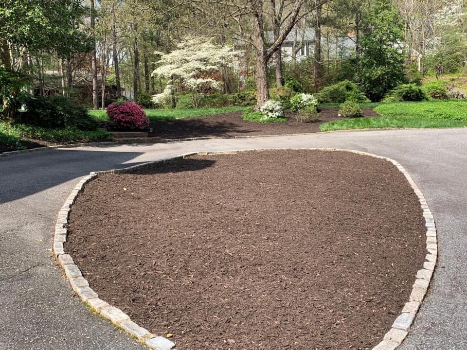 Spring landscape tree service