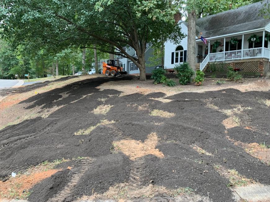 Spring landscape tree service