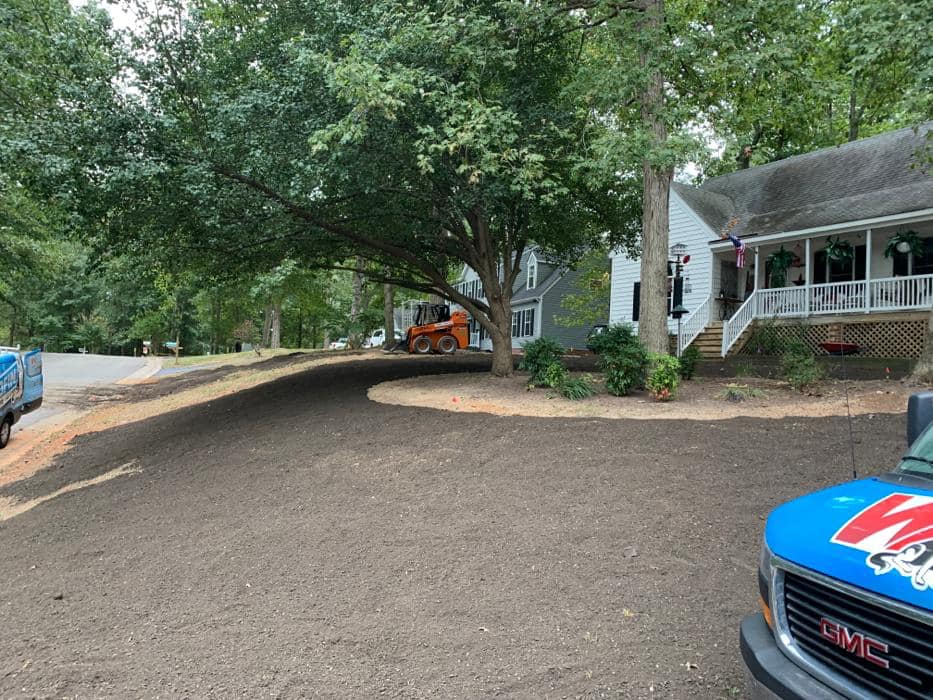 Spring landscape tree service