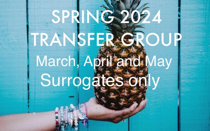 Spring Transfer Group 2024 • March, April, May • SURROGATES ONLY | Facebook