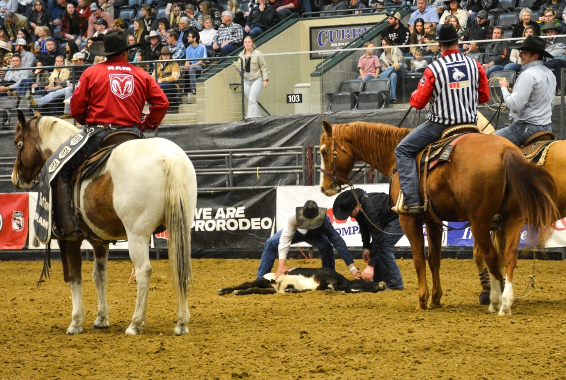 SDSU Jackrabbit Stampede Rodeo 2026