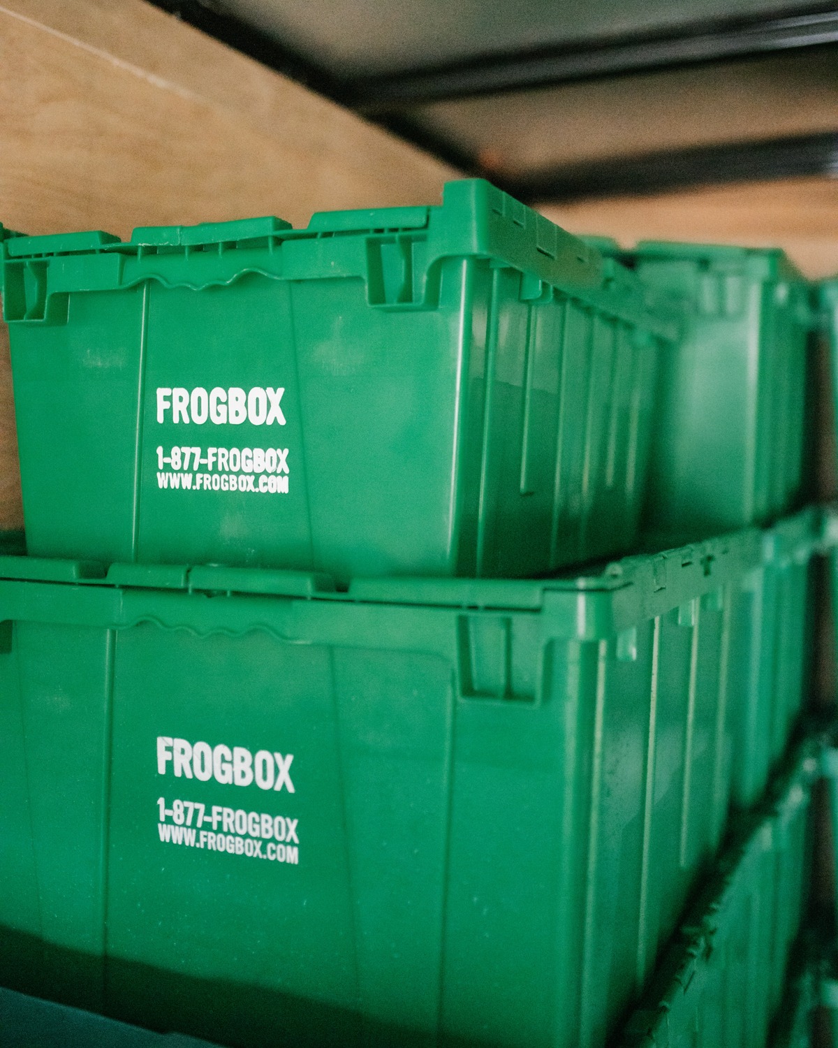 FROGBOX Halifax - Our two sizes of Frogboxes really make... | Facebook