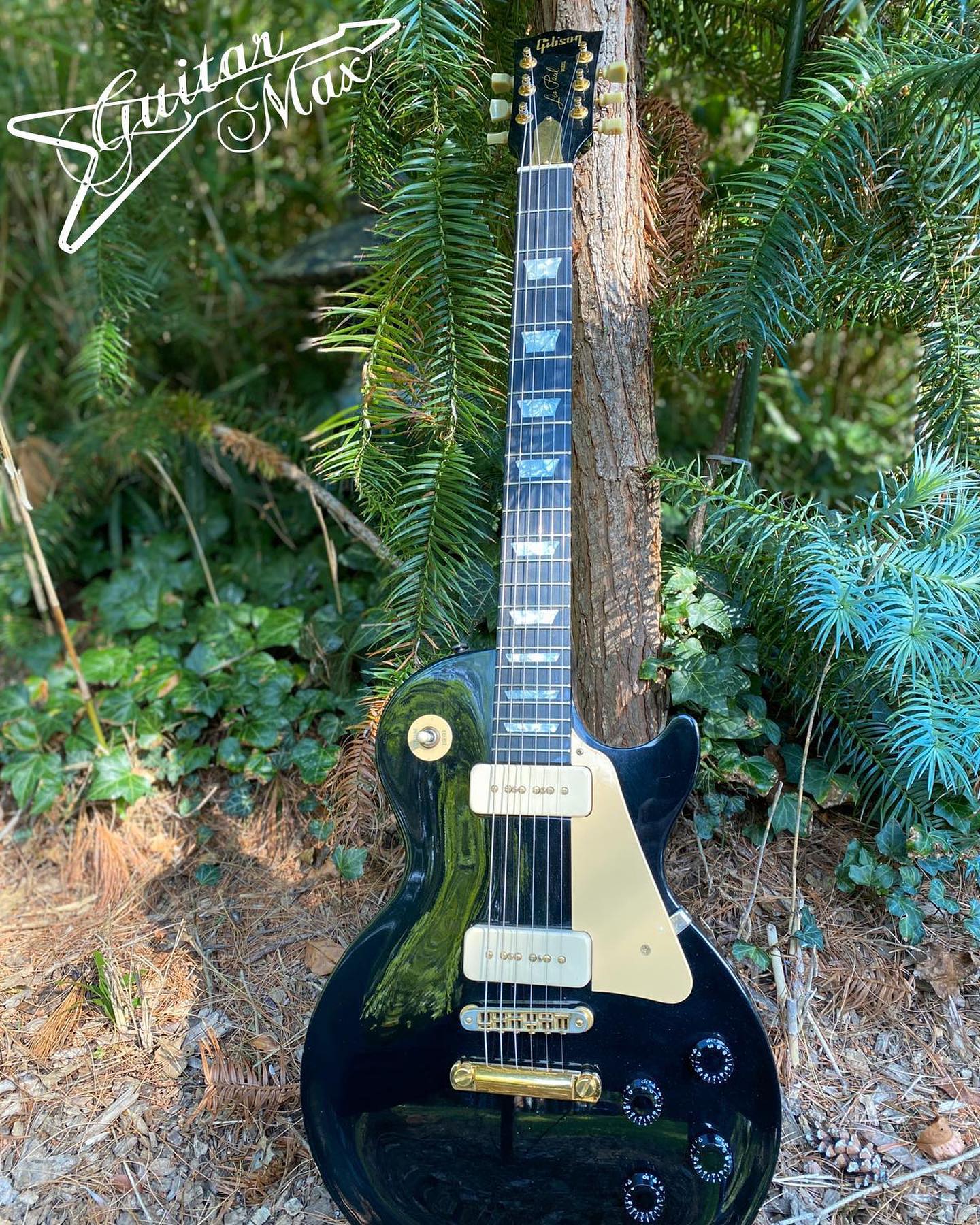 1993/94 Gibson Limited Edition Mahogany P-90 This was a limited