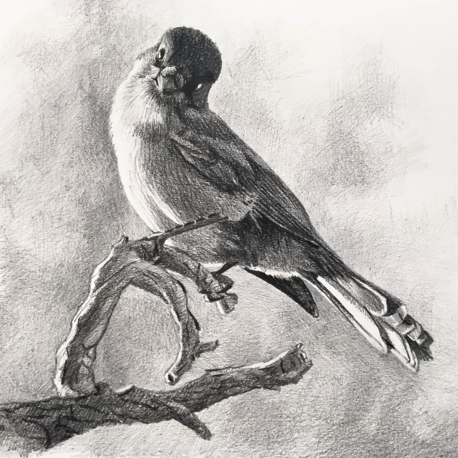 Anssi Romo ART