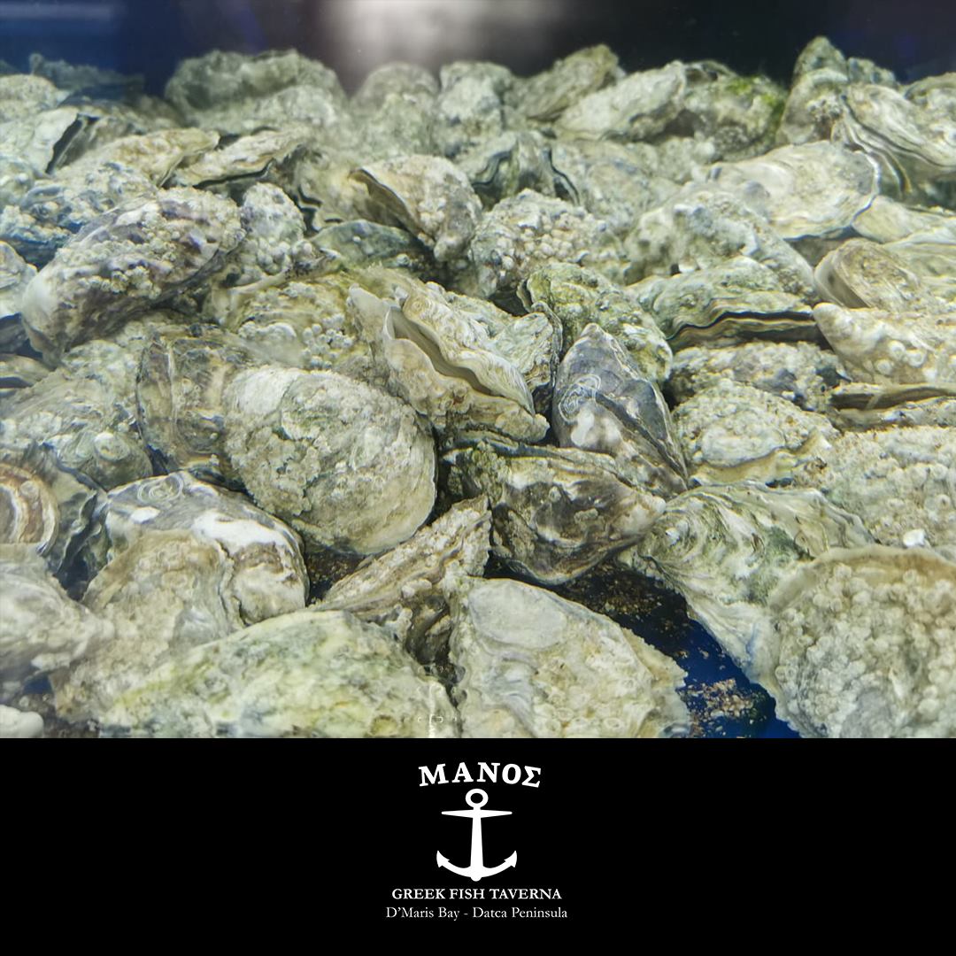 MANOS Greek Fish Taverna - D Maris Bay | Marmaris