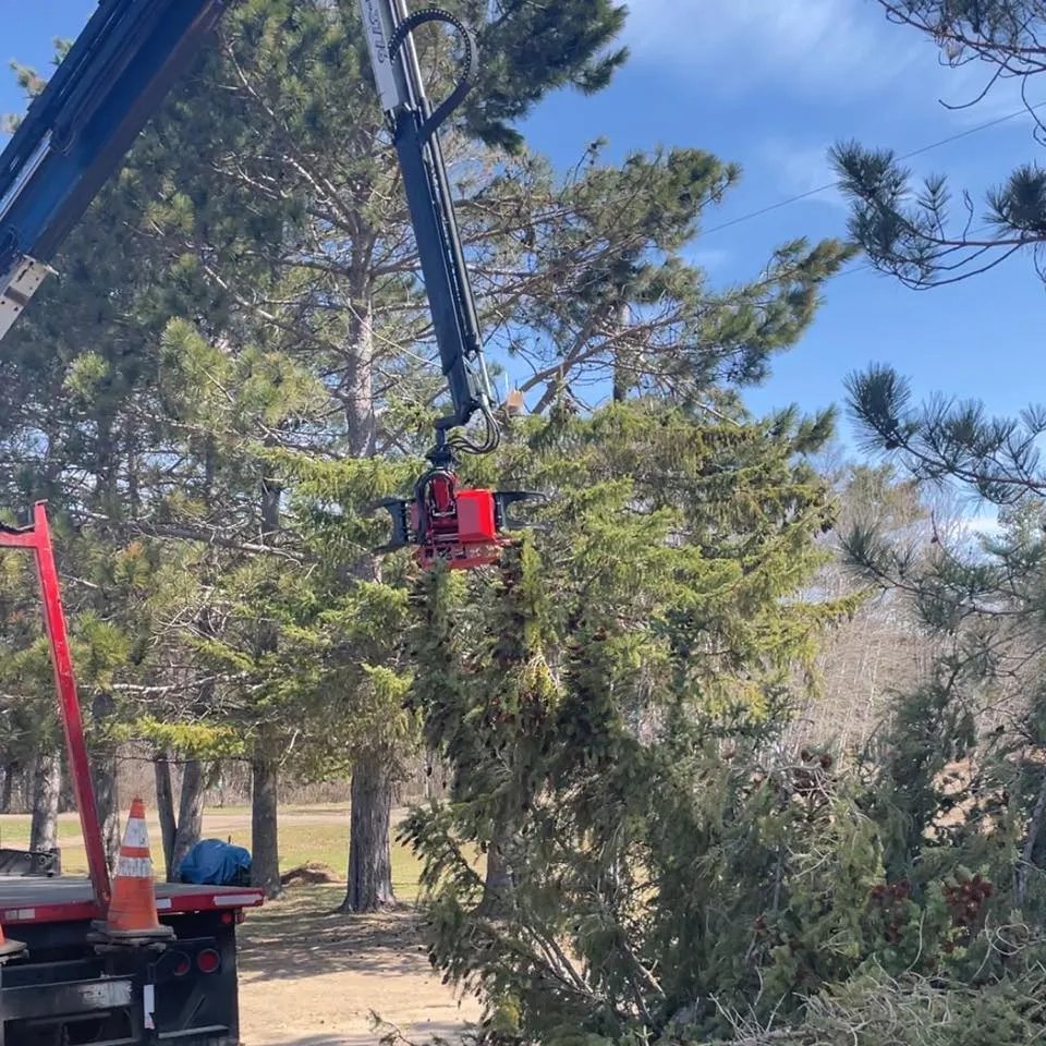 Peters Crane & Tree Service | Palisade MN