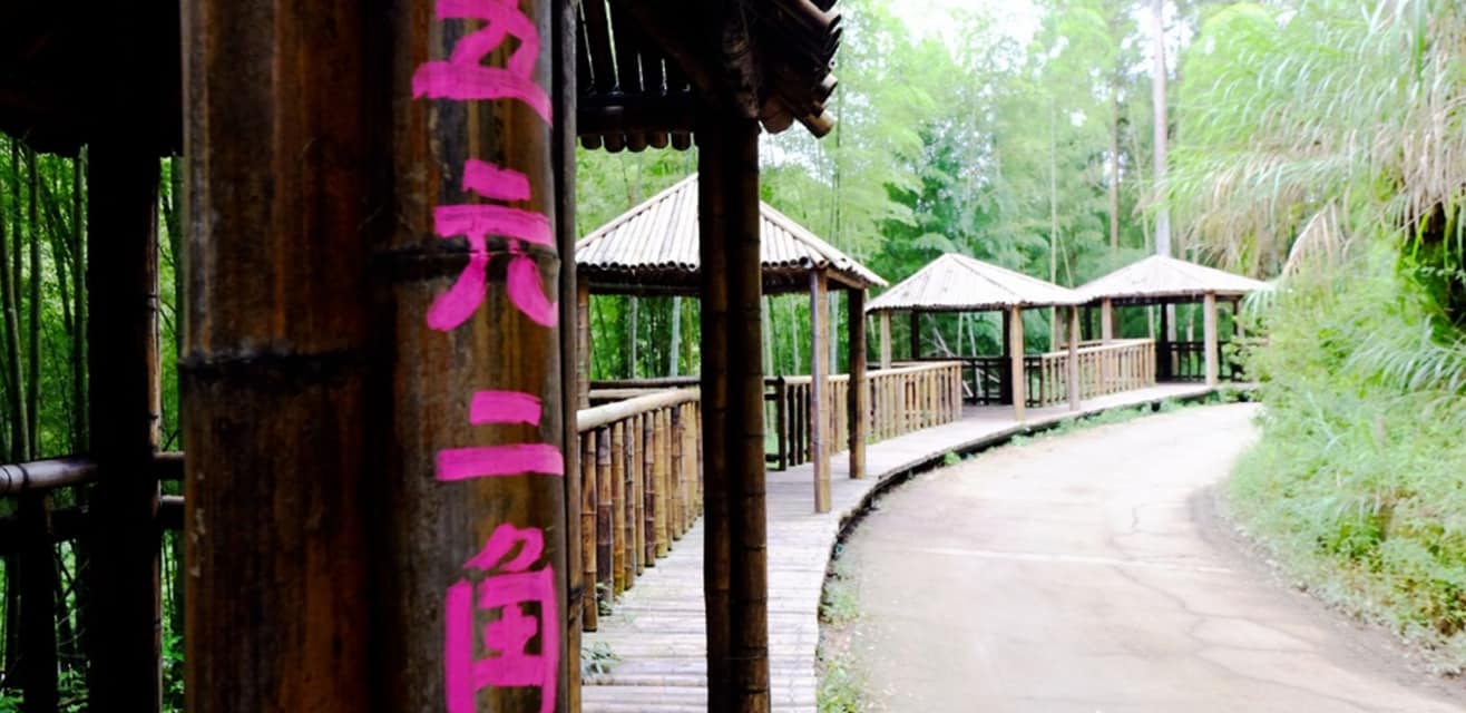 大黃遊台灣 小叮噹 五元二角亭 位于云林县古坑乡草岭村石壁社区的后山 是一处种满孟宗竹林的山区在社区理事长带领当地 Facebook