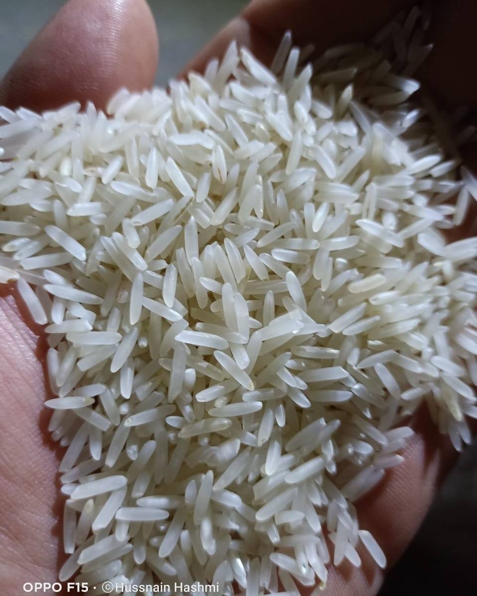 Hashmi Grains - Our new super kernel basmati rice🌾 is...