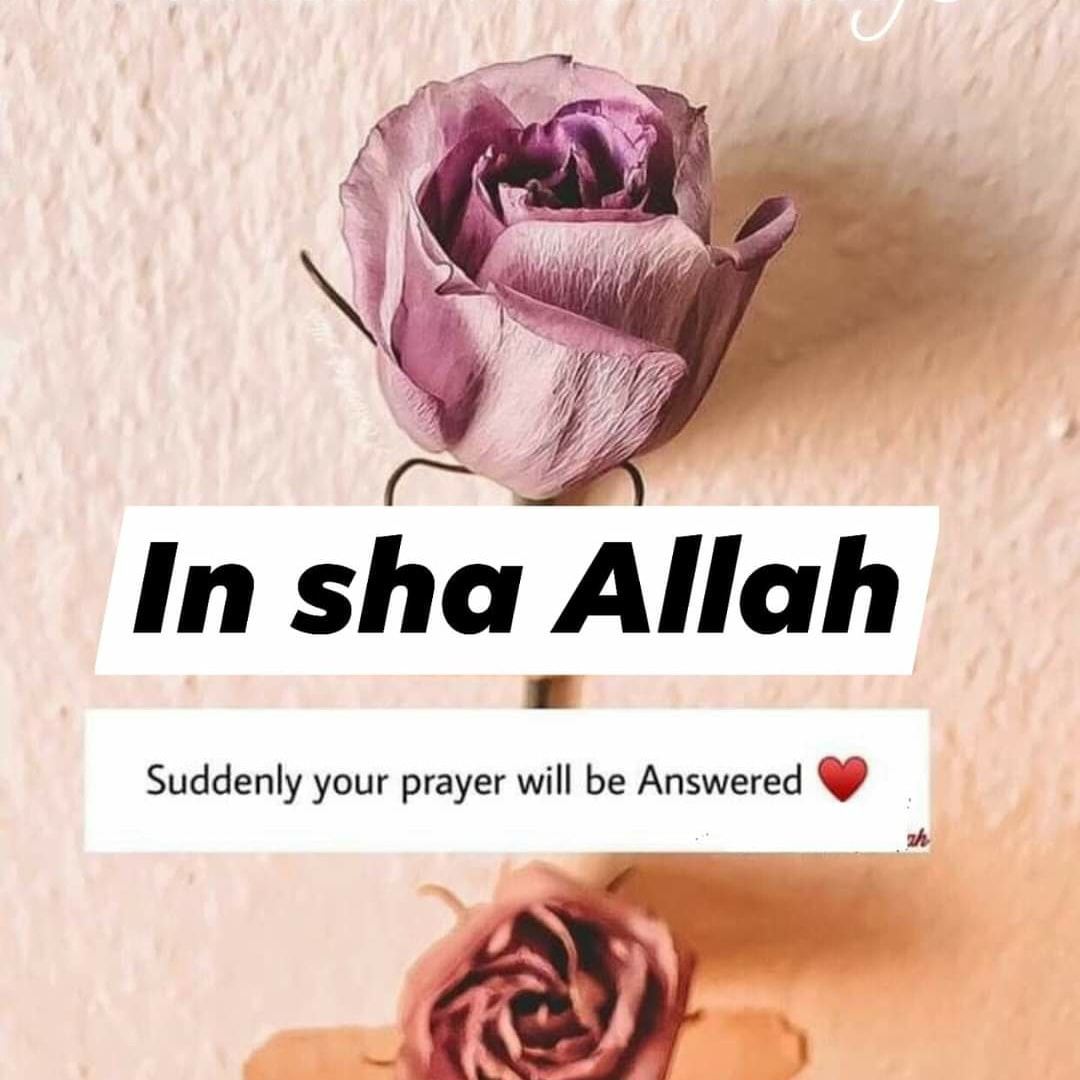 Insha Allah Pious Muslim Husband And Wife Facebook
