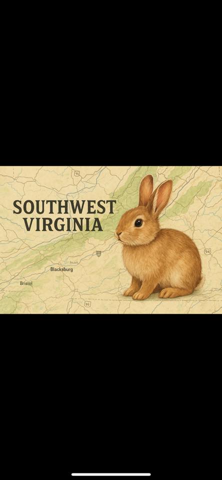 Southwest Virginia rabbits | 🆘 🆘 🆘 🆘 PLEASE help 🆘 🆘 🆘 🆘 | Facebook