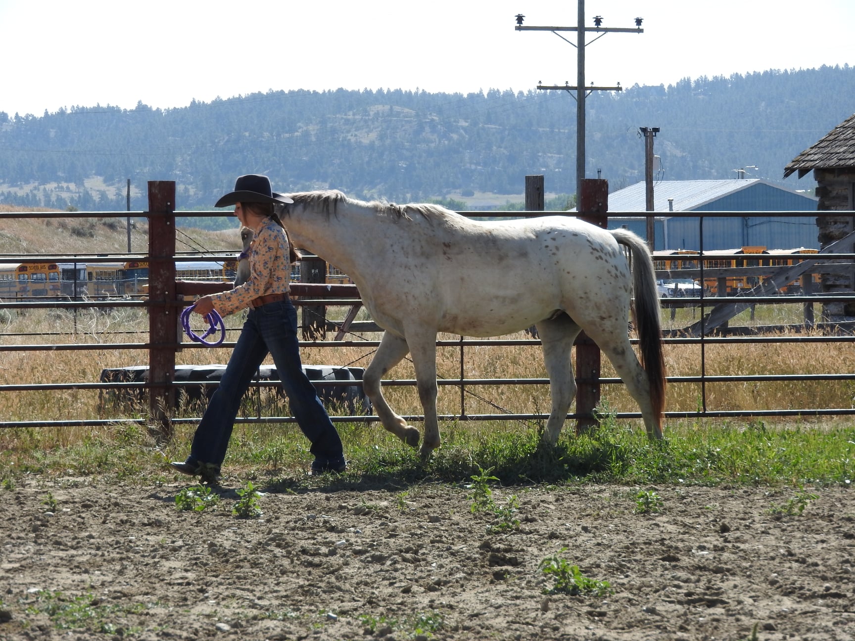 Here are pictures from the lead... - Roundup Ridge Riders