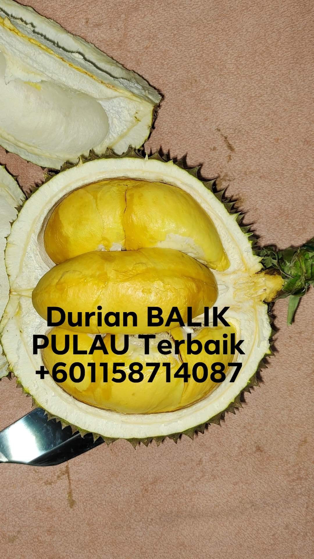 Durian Balik Pulau Terbaik Home Facebook