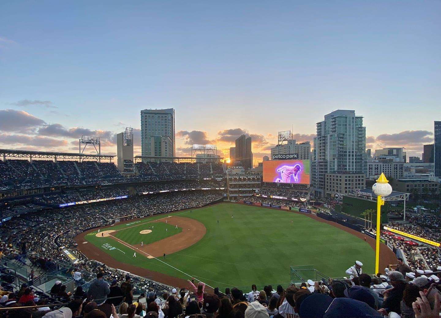 Rook's Glimpse of Baseball