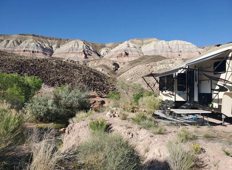 Feature Friday is... - Cardinal Fifth Wheels by Forest River | Facebook