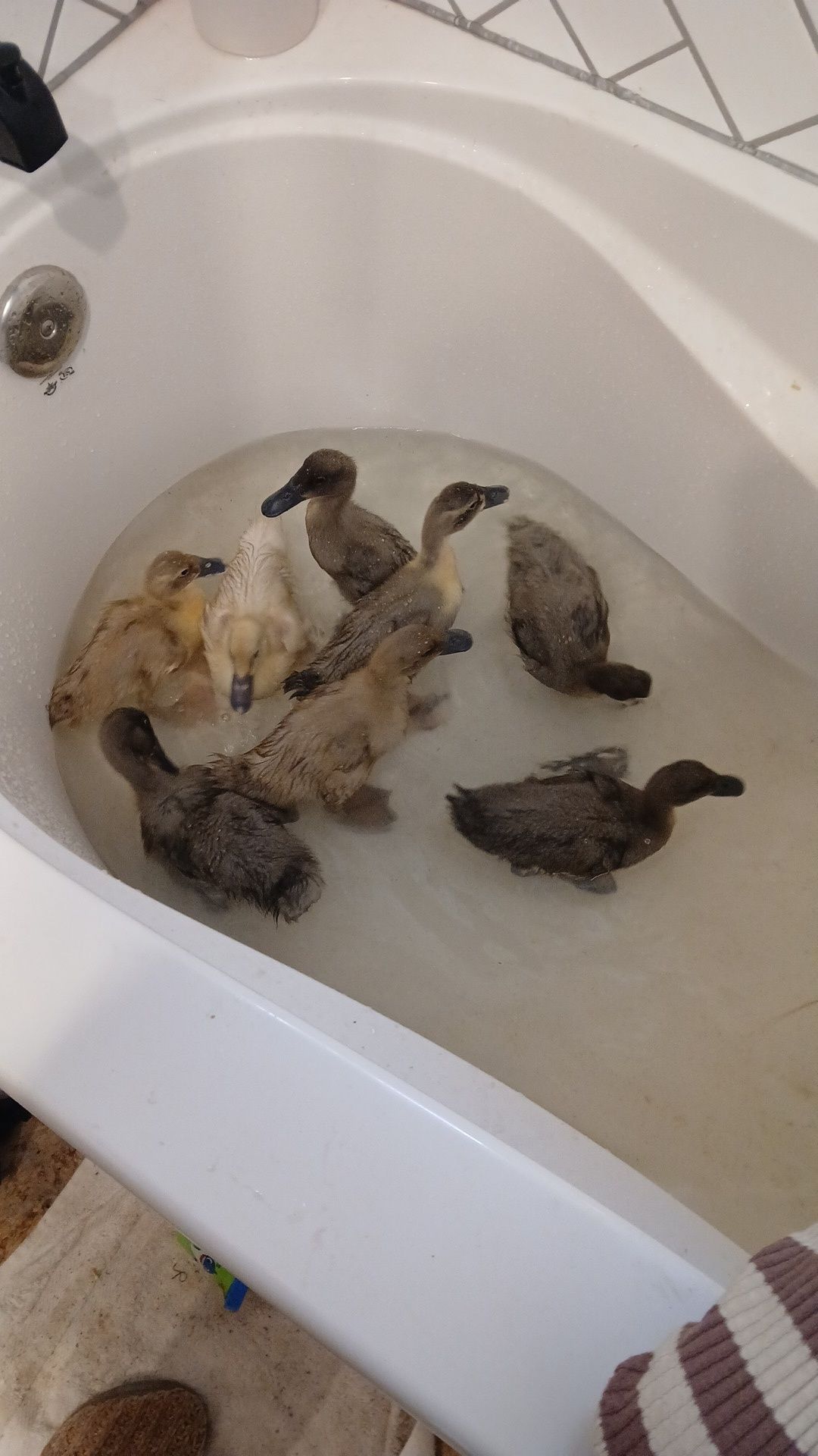 Porn Picture