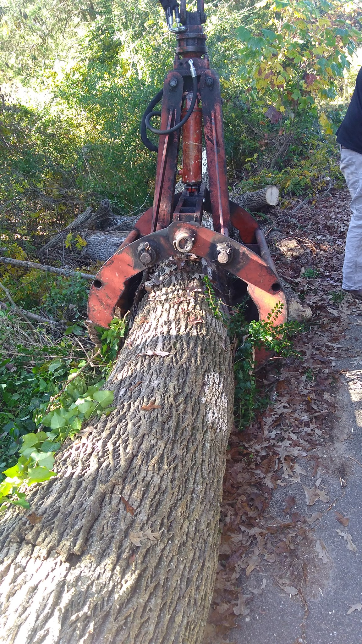 American Made Tree Service | Farmville VA