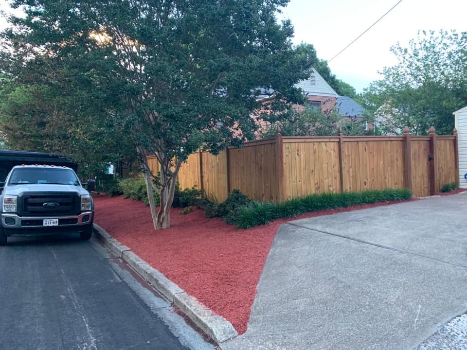Spring landscape tree service