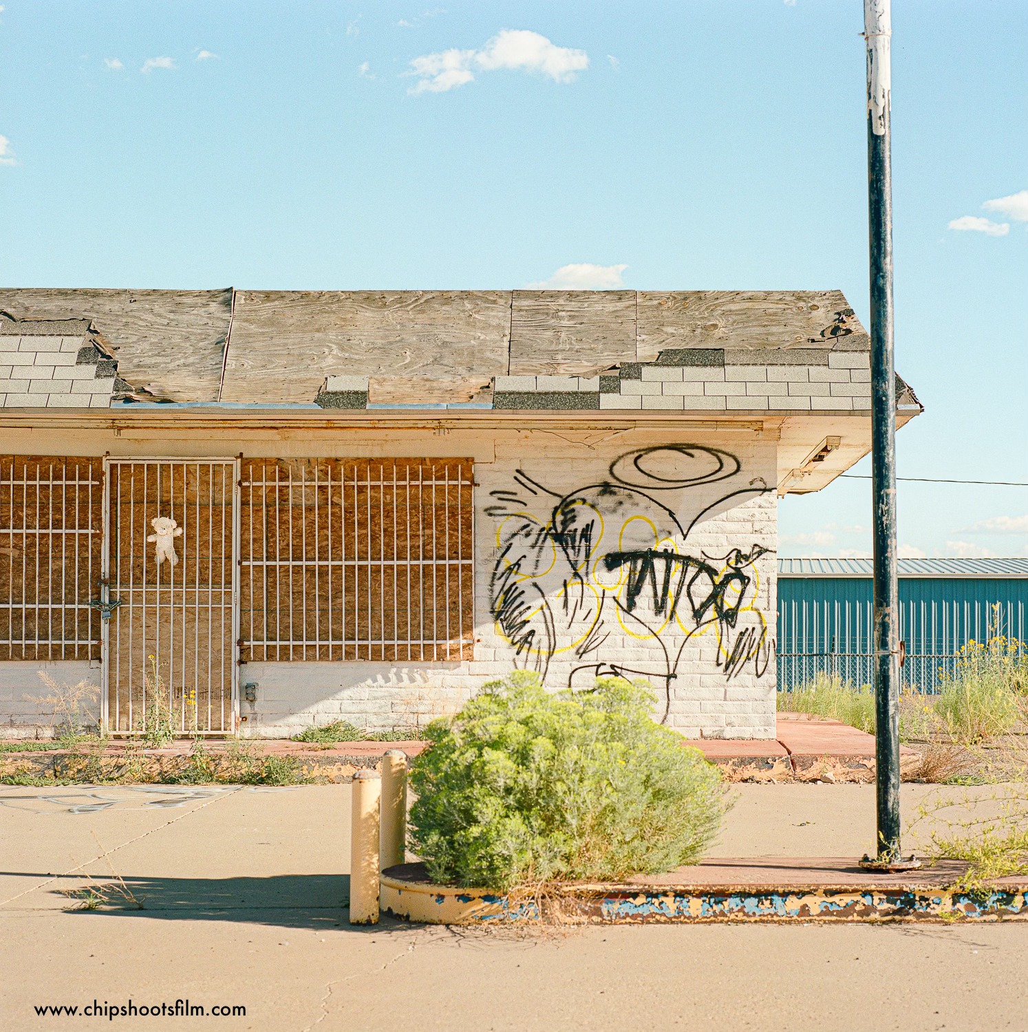 What is the meaning of the teddy bear and graffiti on a building