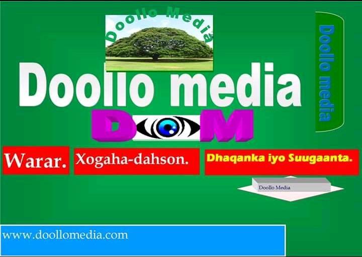 Doollo Media