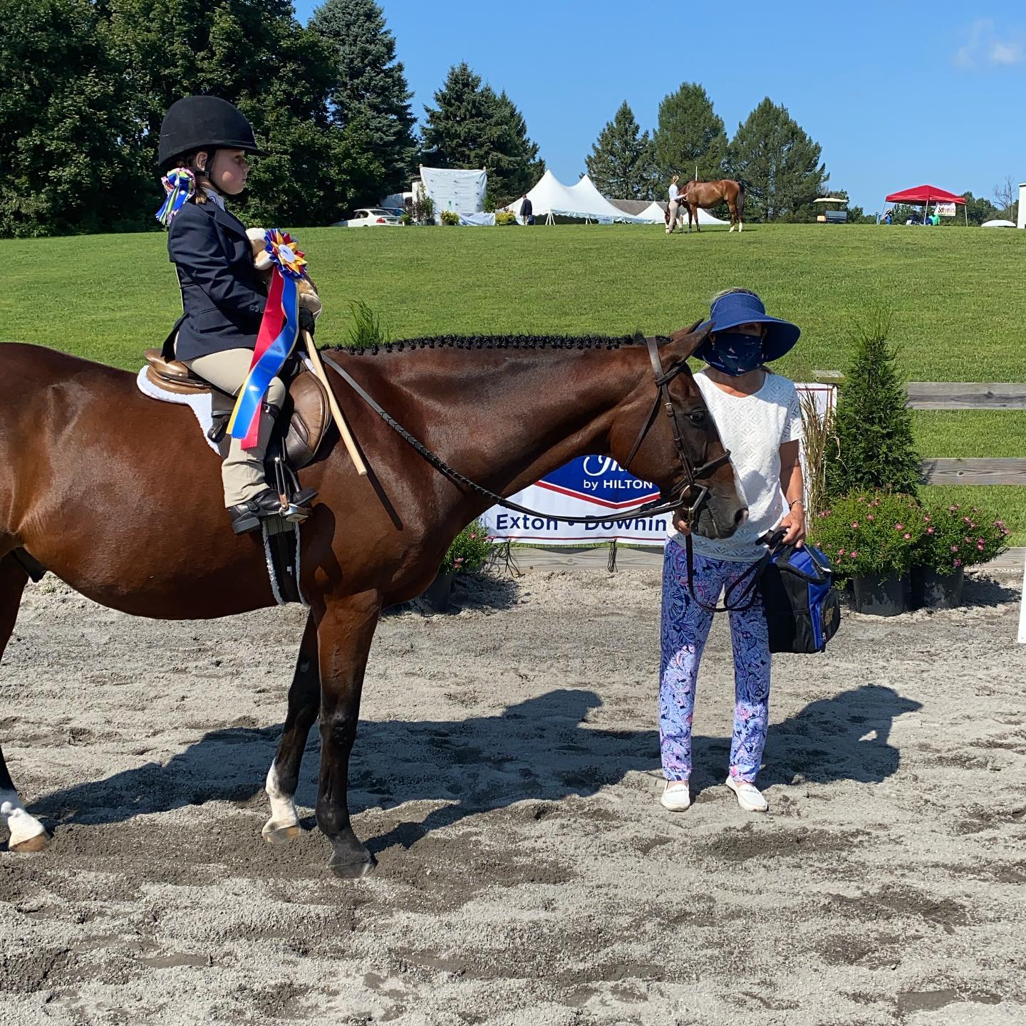 Foxtale Farm - Congratulations to Zoey Noss and Foxtale...