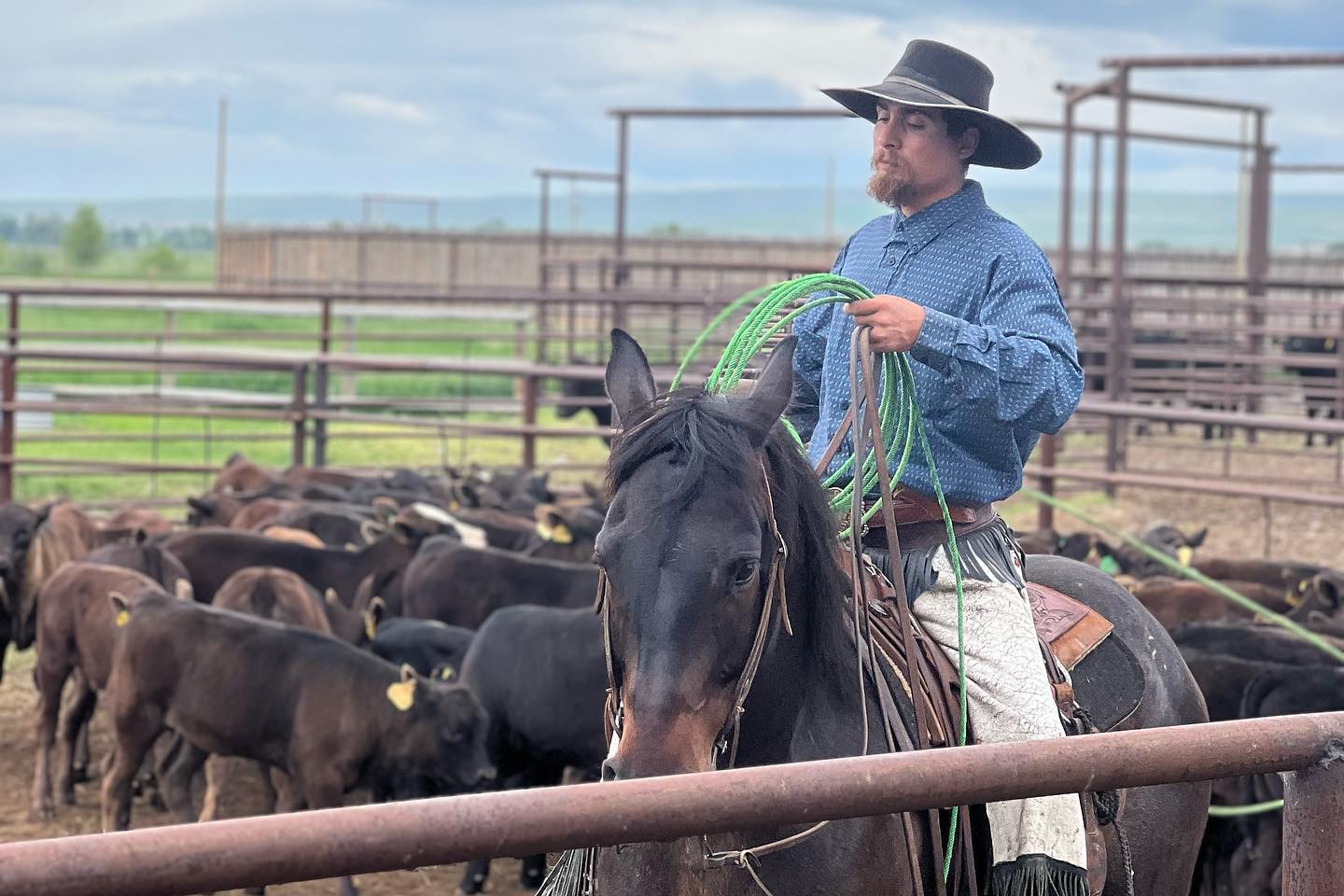 Arrington Ranch LLC | Wisdom MT