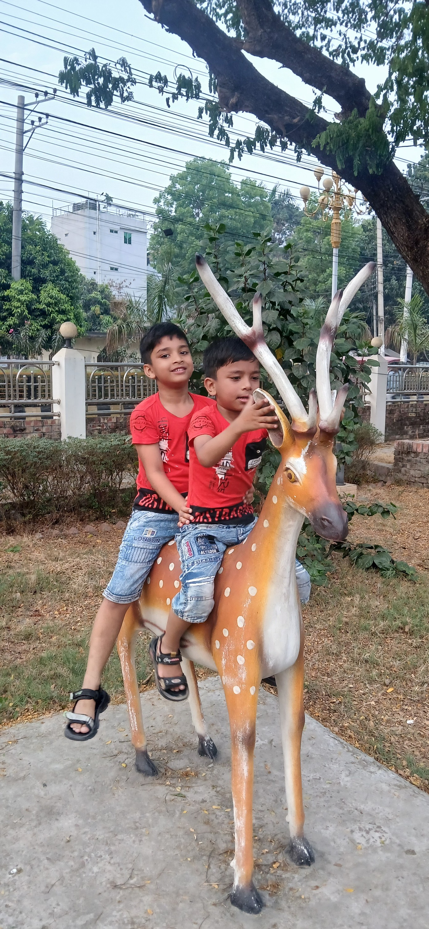 T Rashid