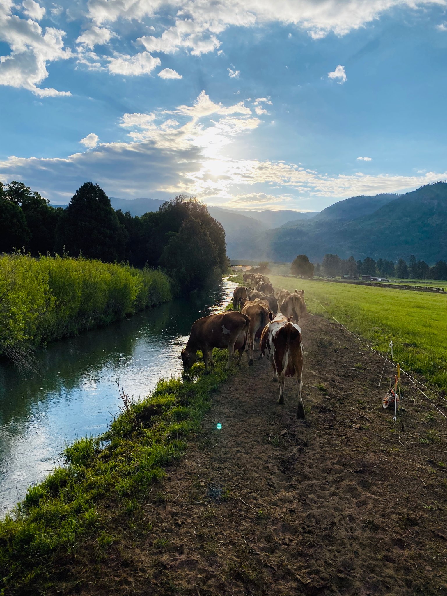As with any working ranch,... - James Ranch Market and Grill