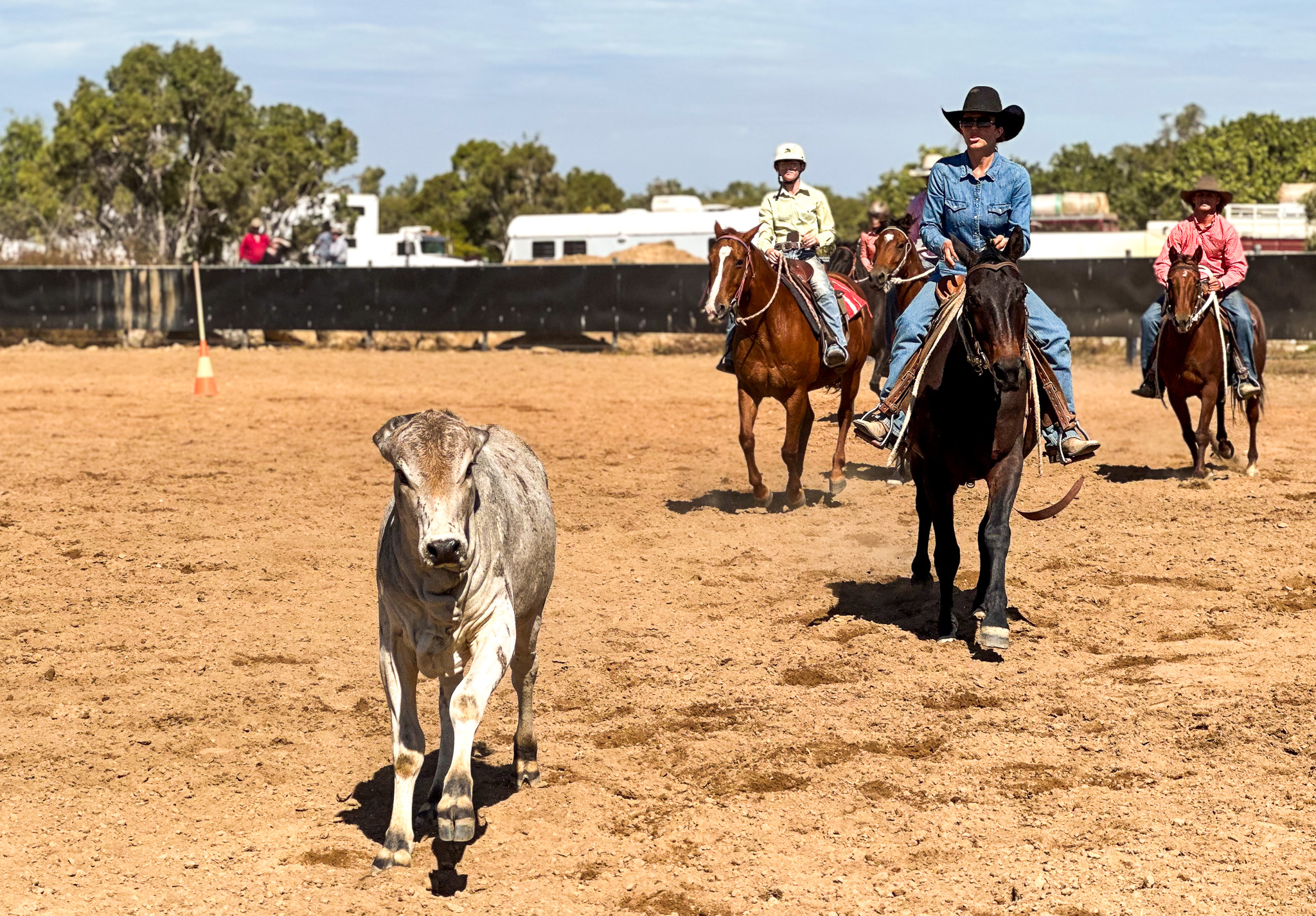 Dusty Air, Whirling Hooves: Outback... - Visit Croydon QLD