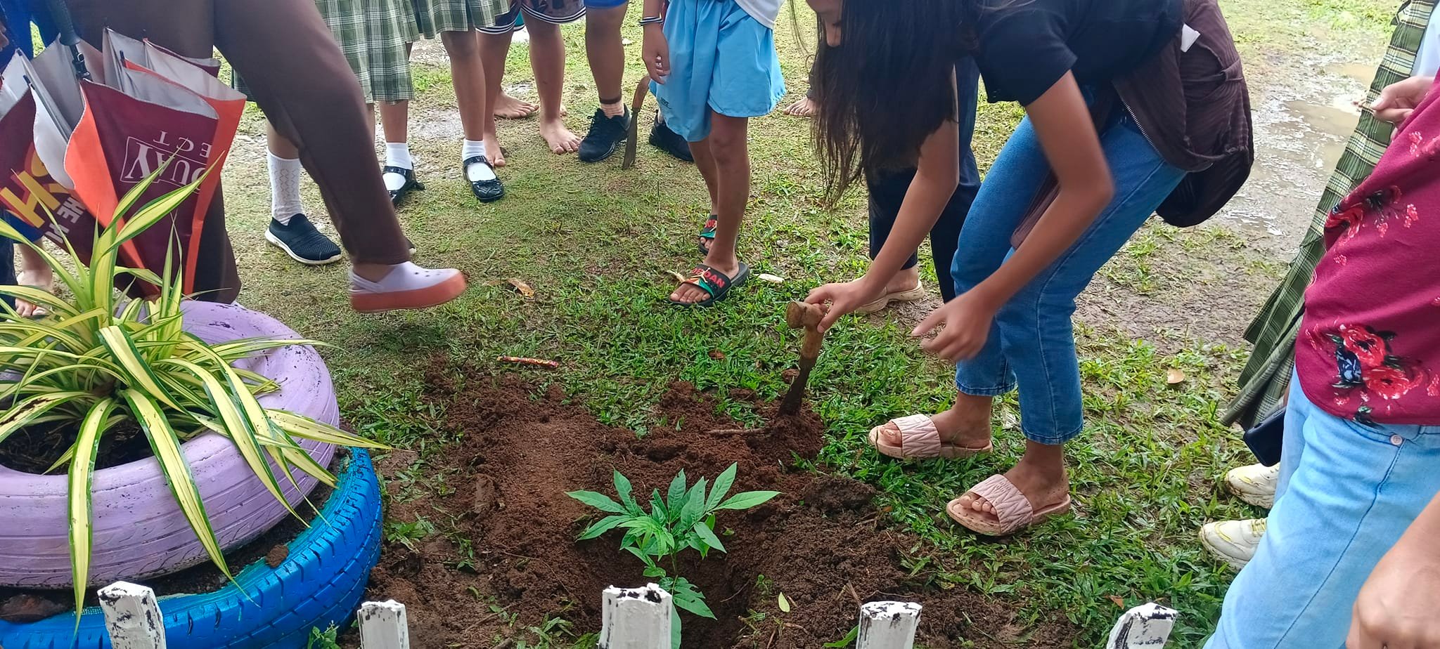 TREE PLANTING ACTIVITY OF... - DepEd Tayo Lanao del Norte