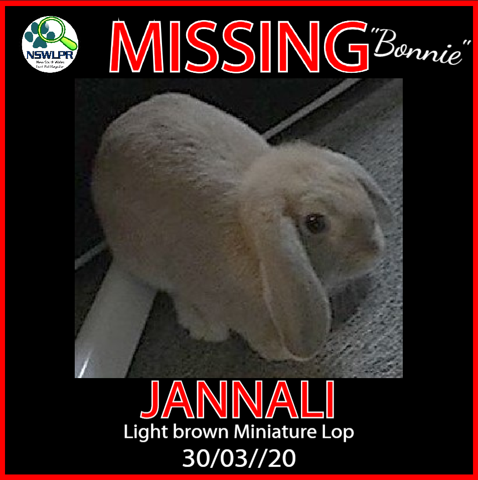 New South Wales Lost Pet Register - NSW LPR - MISSING – RABBIT ...