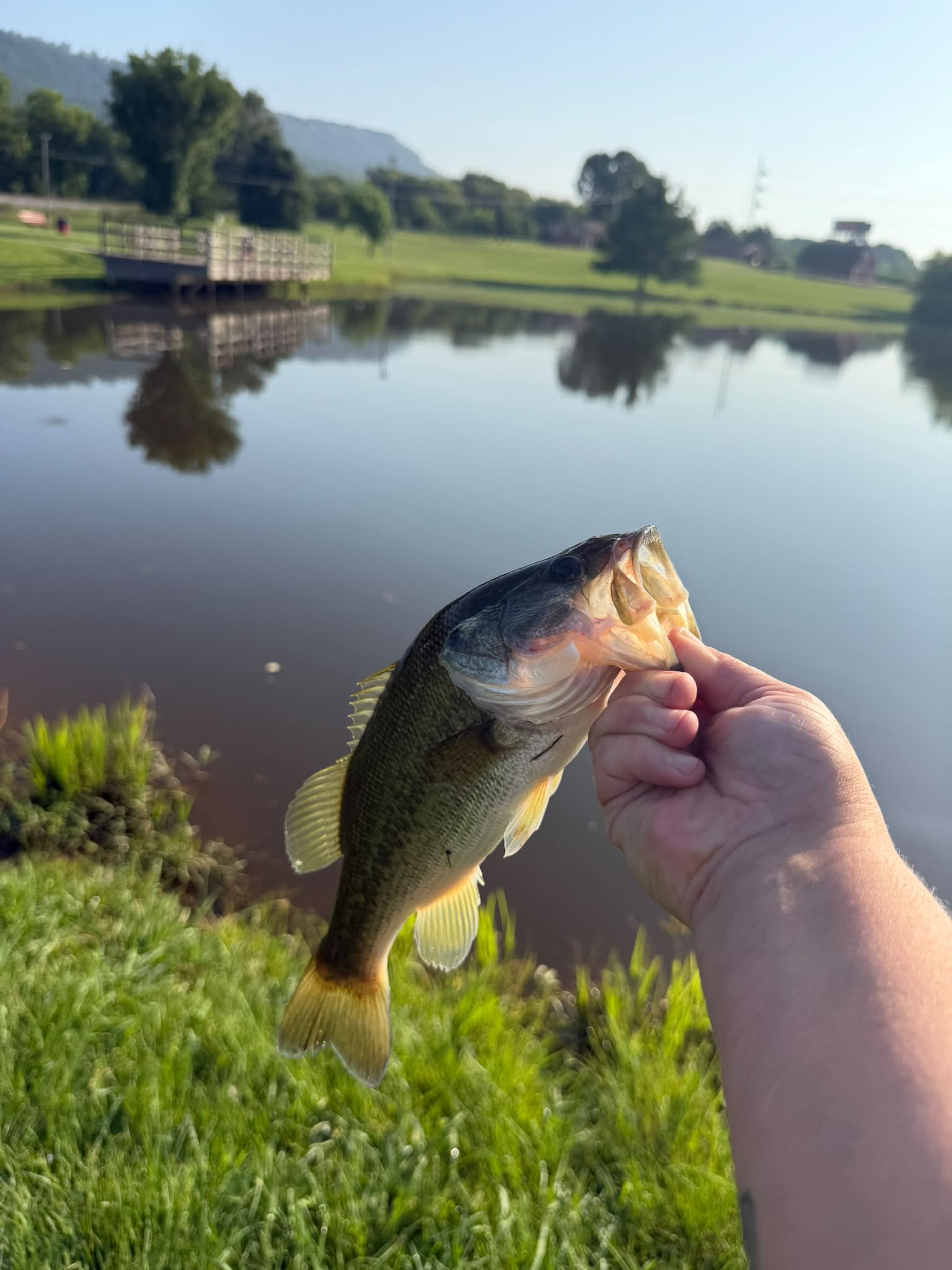 nike backpack for highschool boys Youth Elemental einarsson fly reels instagram wade hoggs jr Its thoughtfully sized shape Skirt/Blade Color:Bubble Gum and Pink