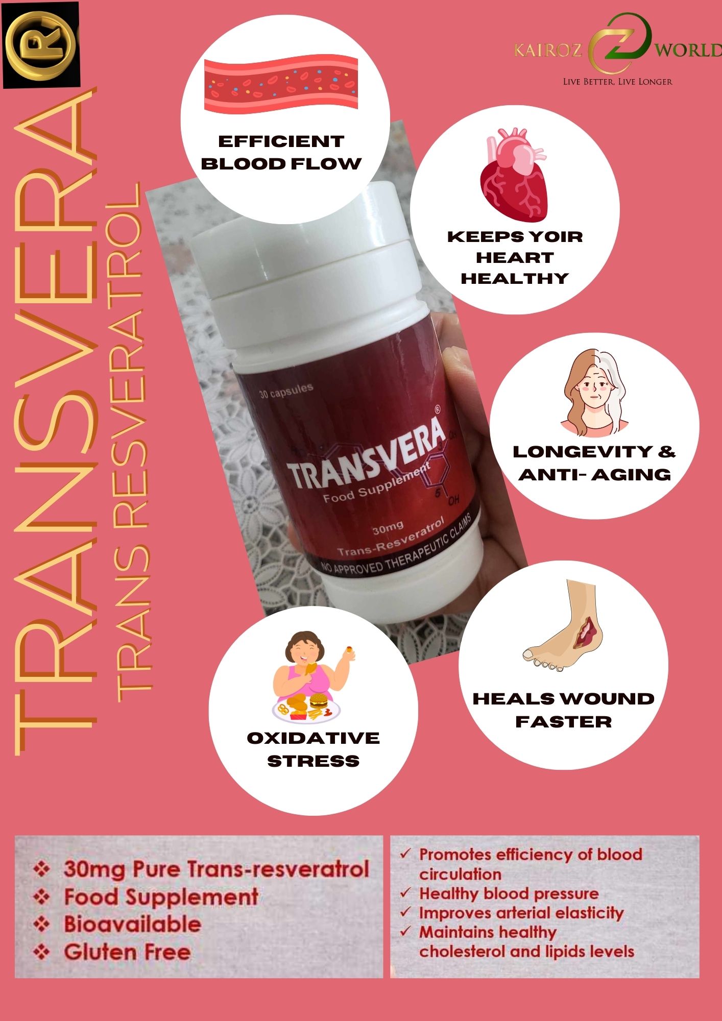 Transvera Bacolod Hub