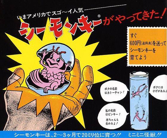 1982年物 シーモンキー オーシャンズー 当時物 昭和30年代生まれが泣いて喜ぶことあれこれ - シーモンキー、本当に