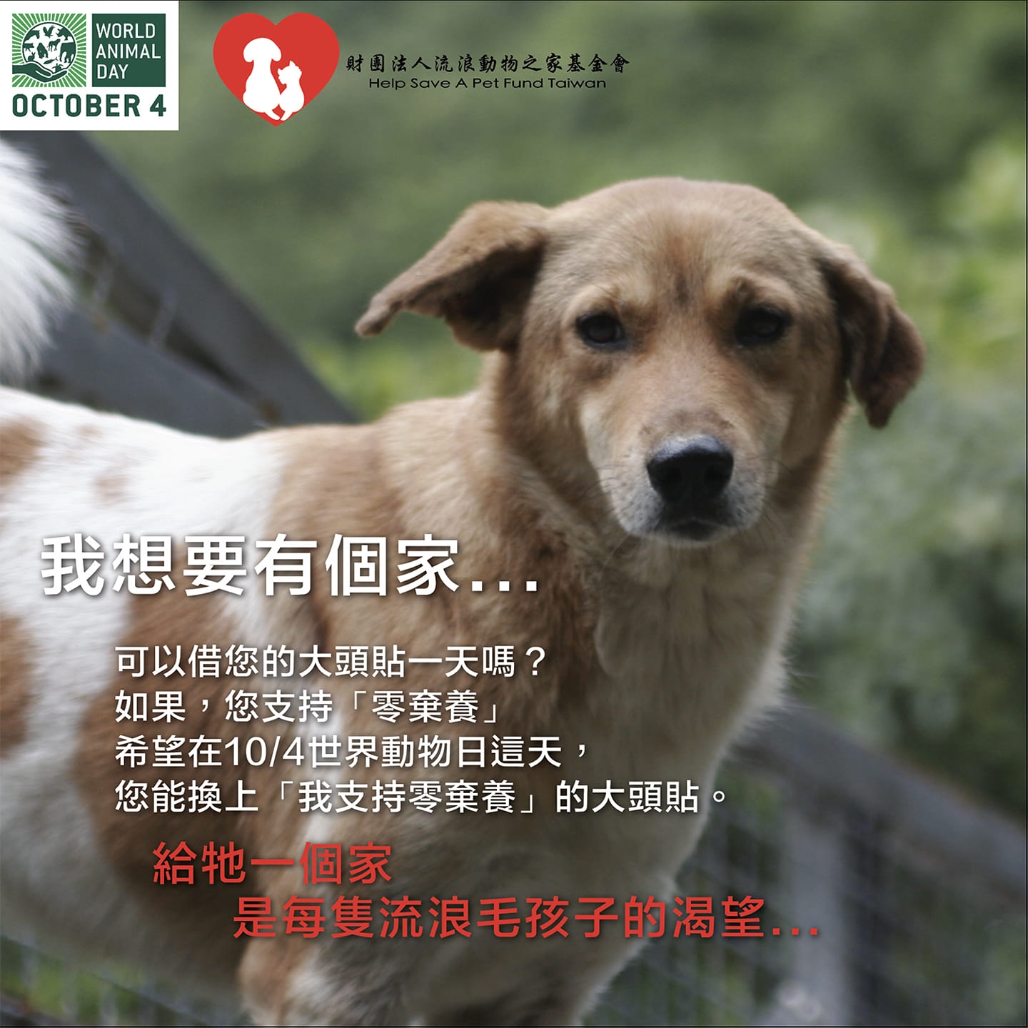財團法人流浪動物之家基金會 - 只要來看「狗兒流浪記」音樂歌舞劇～就可以得到這張祖誠為毛孩子製作的專輯「呼喚」唷！ 你訂票了嗎？ 官方網站網址 ...