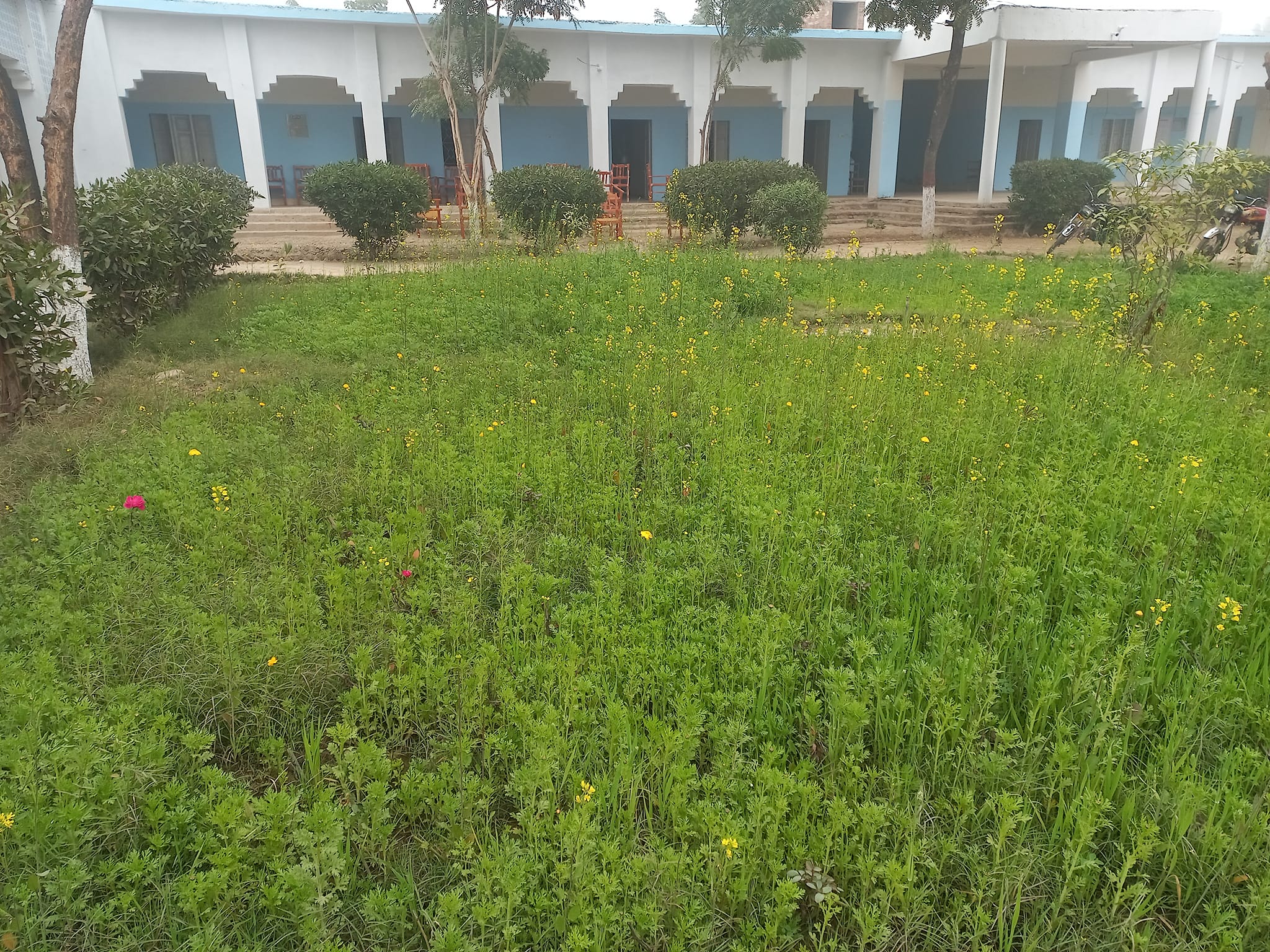 Star... - Star Grammar Higher Secondary School Padidan
